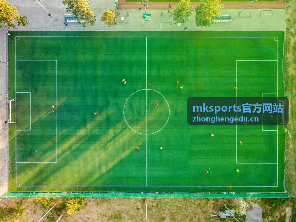 mksports官方网站健身装备选购测评
